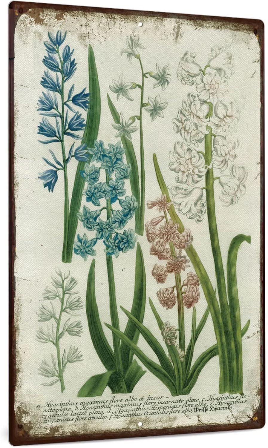 Y1, Letrero decorativo con mot - Home Bar And Coffee reseña y precio