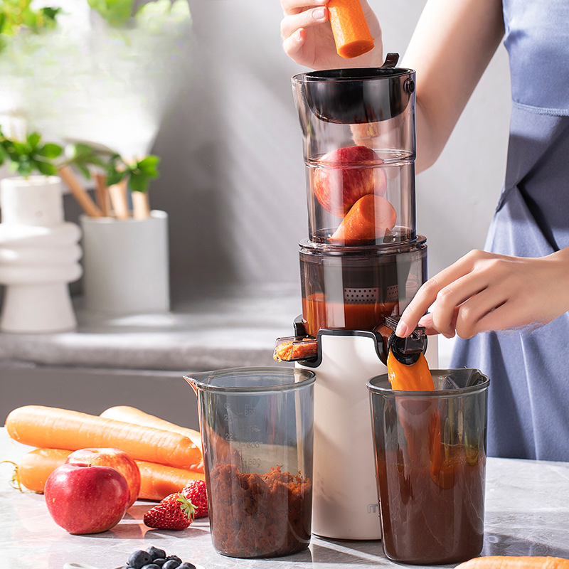 Exprimidor lento eléctrico dom - Citrus Juicer Bar reseña y precio